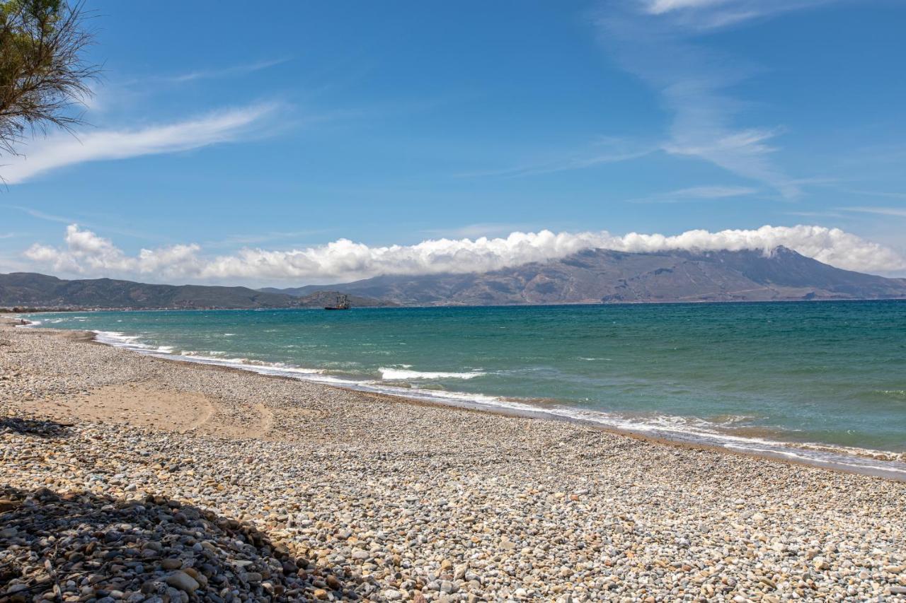 Gold Crest In Drapanias Beach, Nopigia *